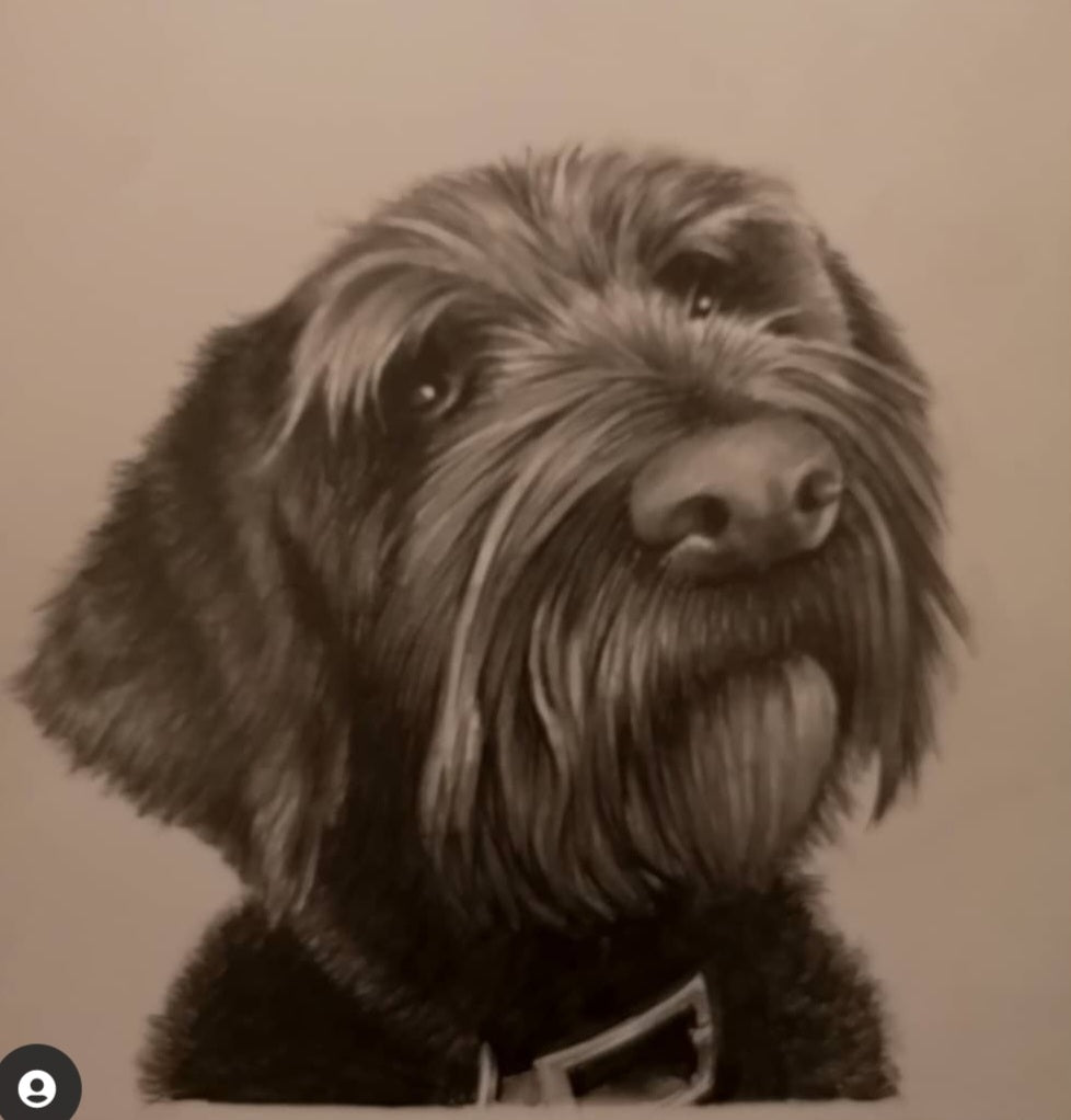 Pencil drawing of a black dog 