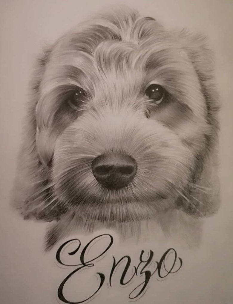 Furry Friend Pencil work