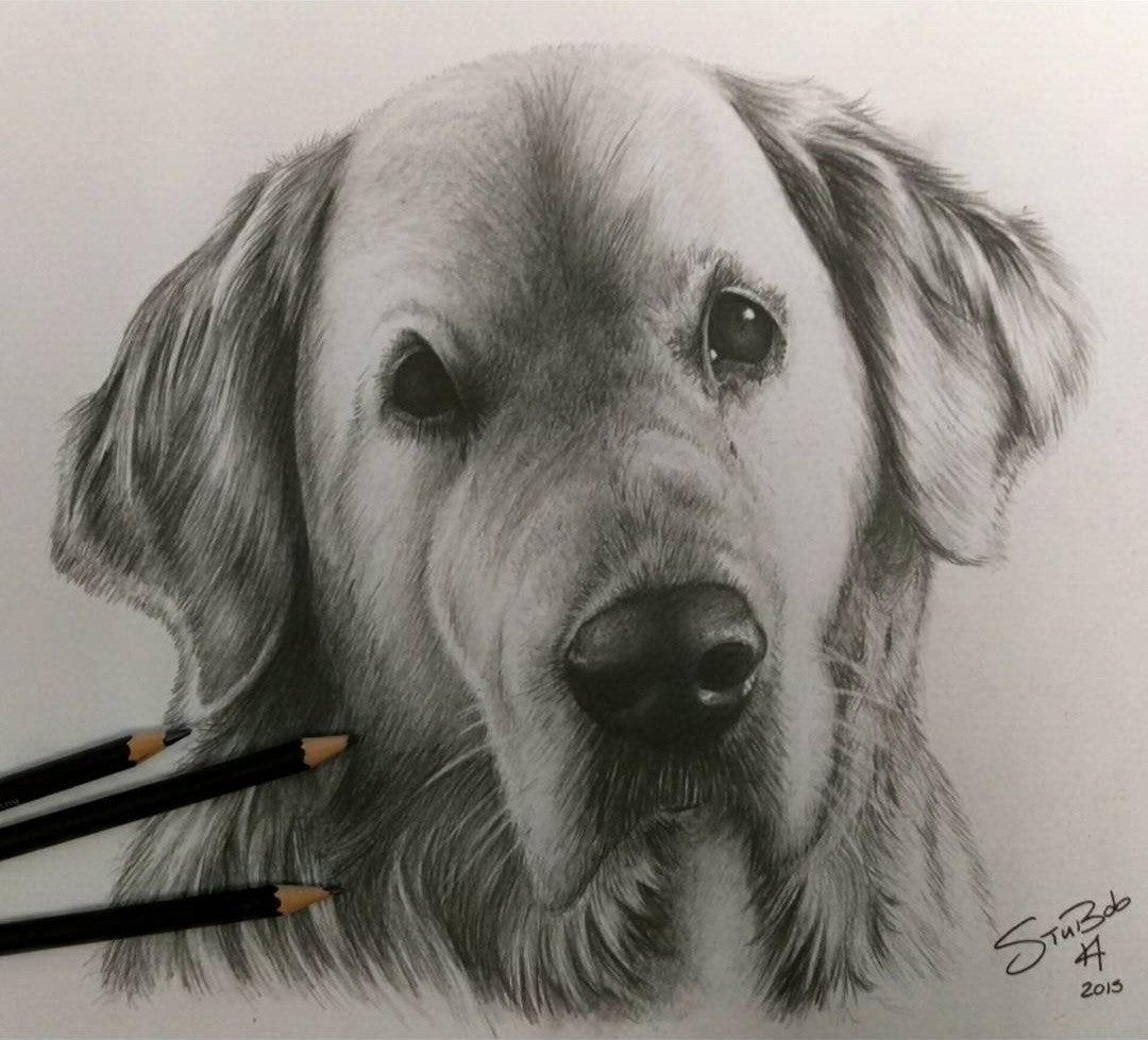 Furry Friend Pencil work