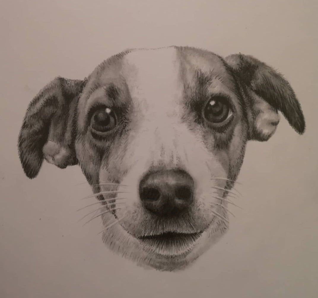 Furry Friend Pencil work