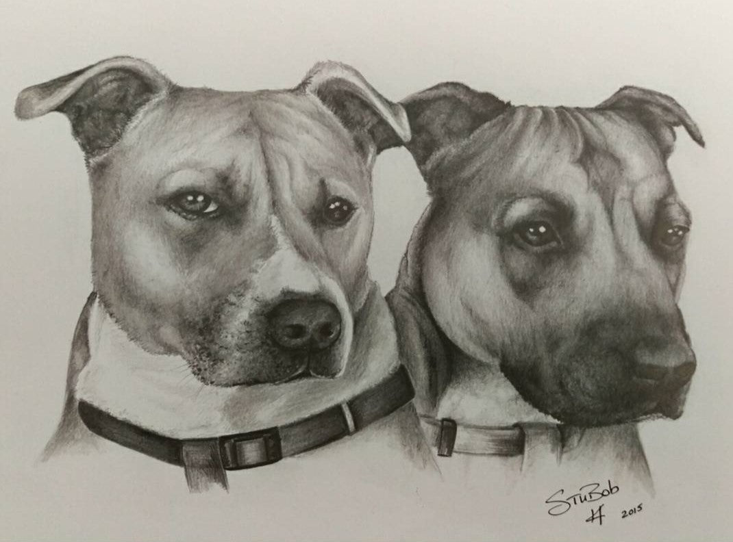 Furry Friend Pencil work