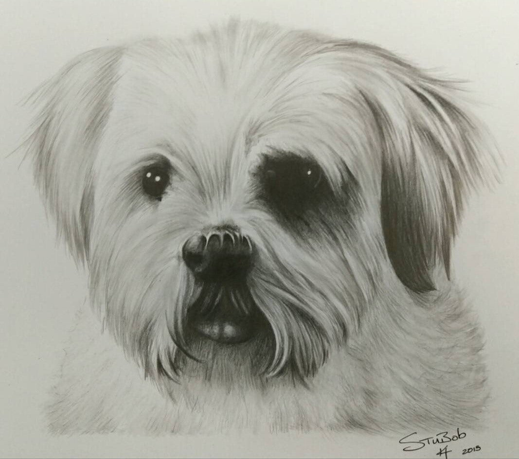 Furry Friend Pencil work