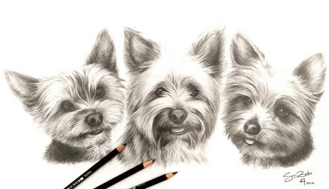 Furry Friend Pencil work