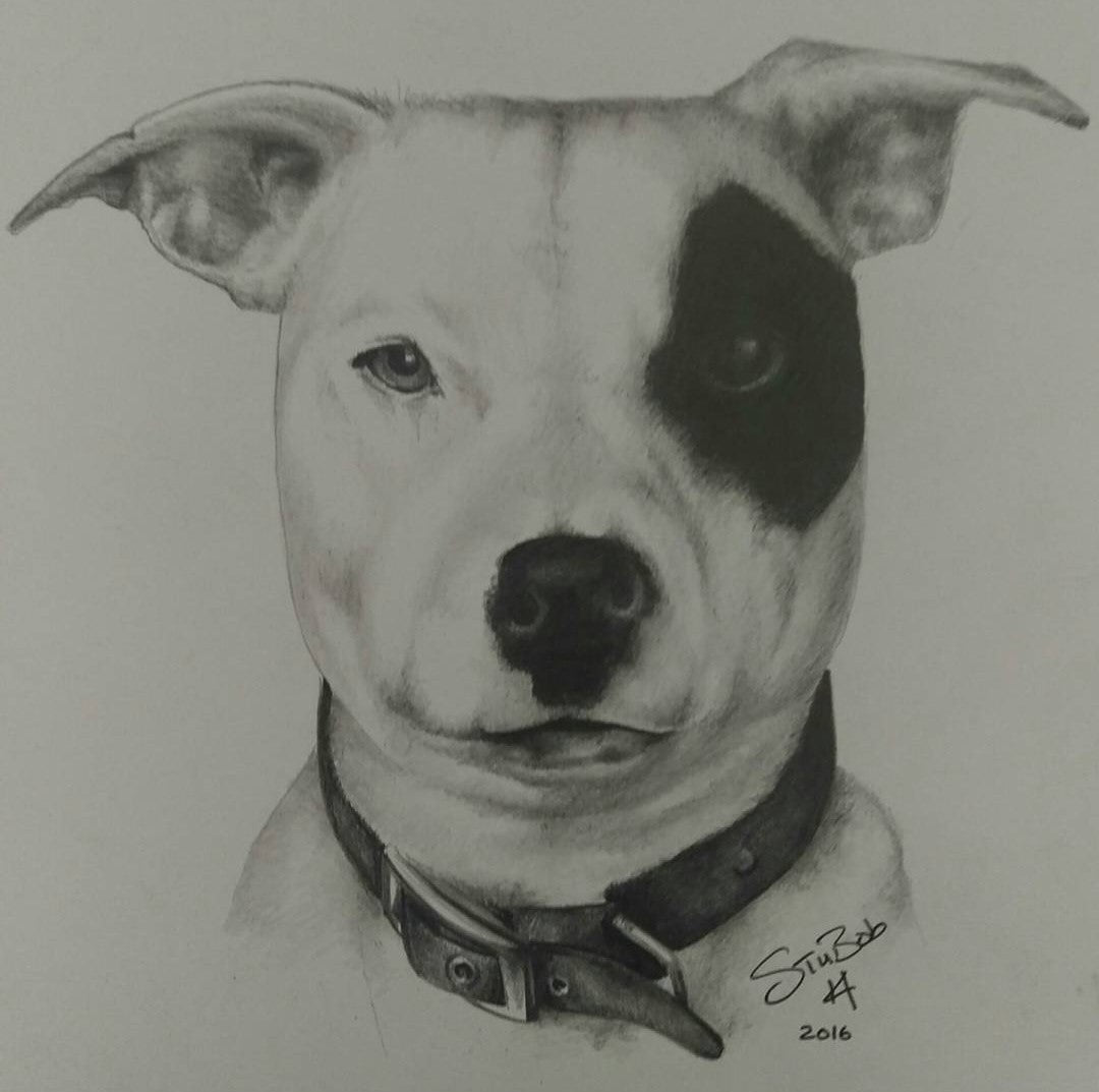 Furry Friend Pencil work